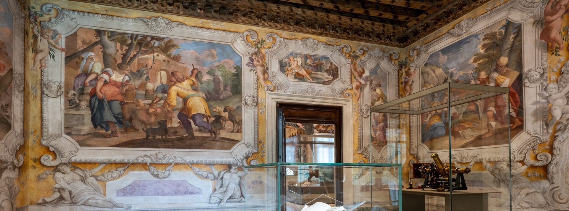 Palazzo Cavalli_Sala delle storie bibliche