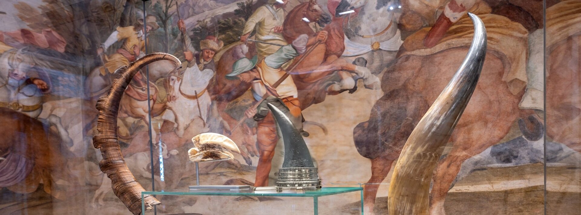 Palazzo Cavalli_Sala della Caccia